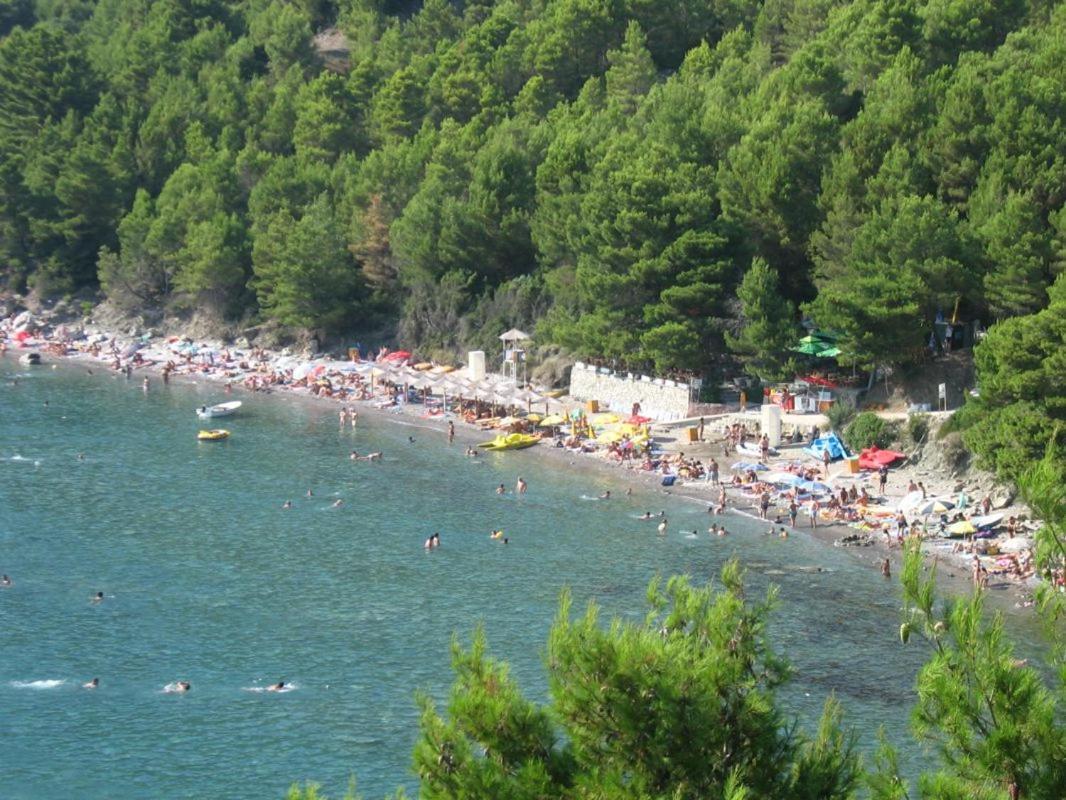 Sea View House Zagradje Daire Bar Dış mekan fotoğraf