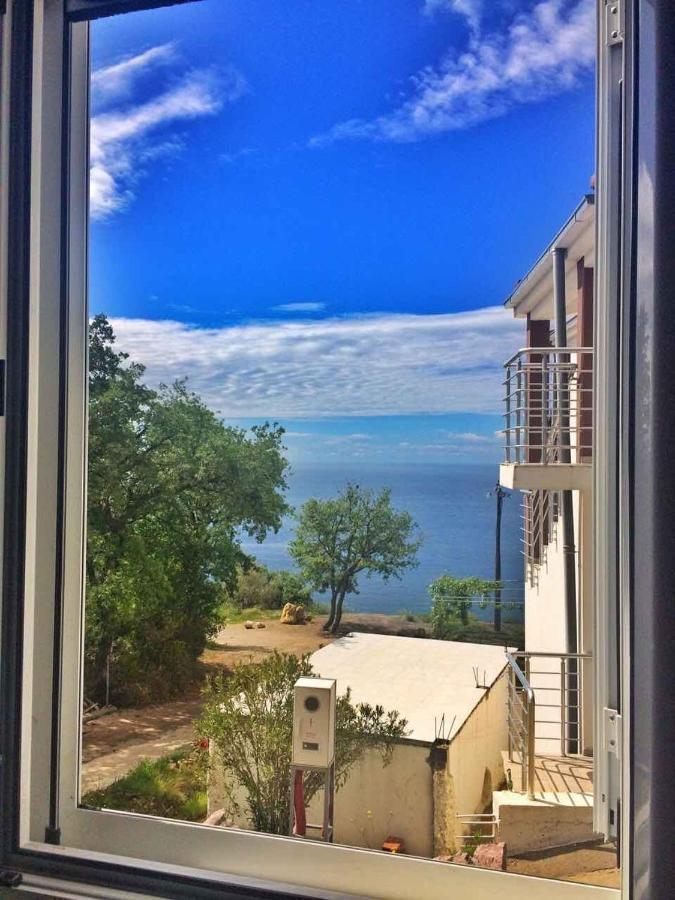Sea View House Zagradje Daire Bar Dış mekan fotoğraf